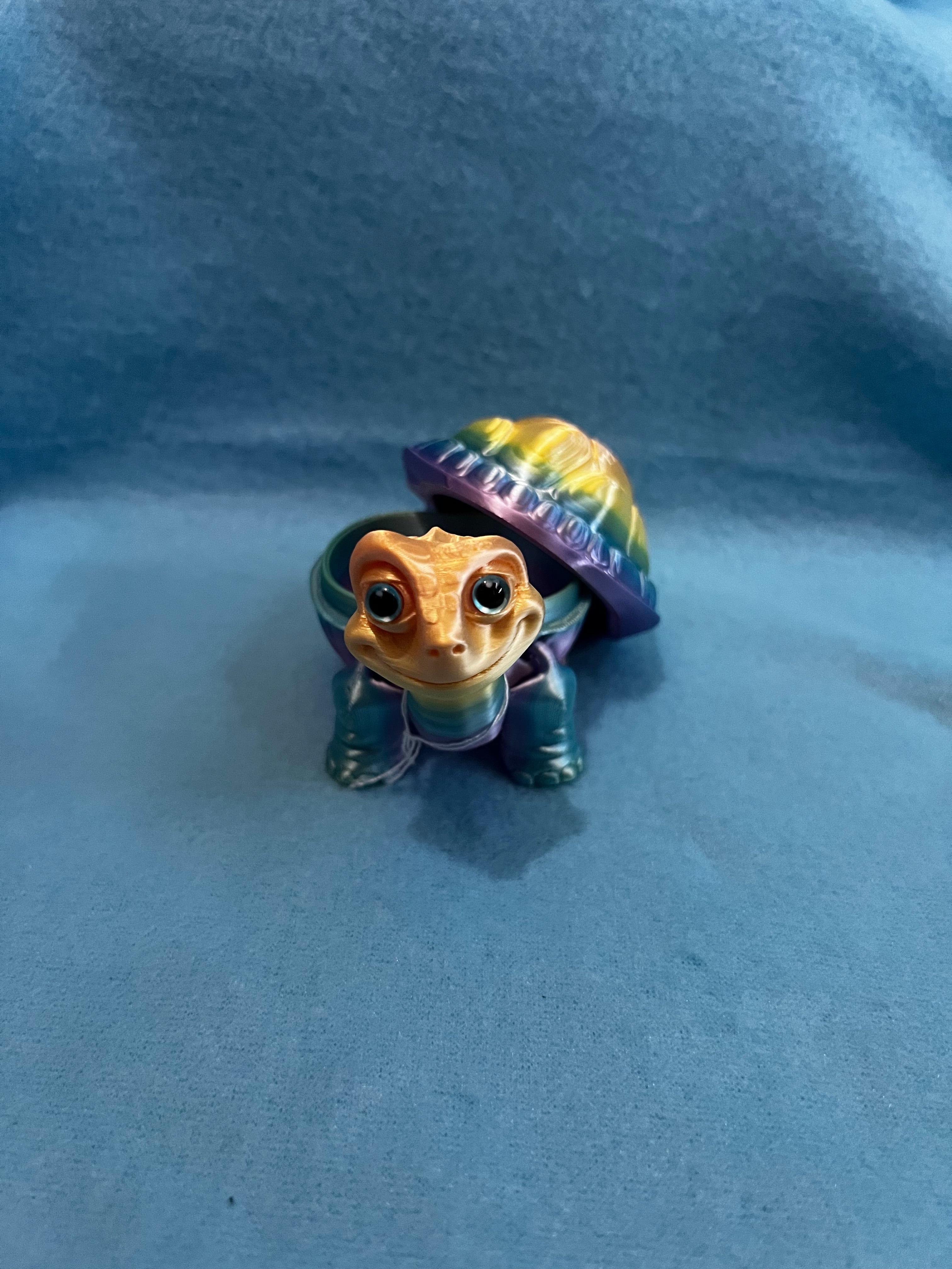 3d Printed Rainbow Turtle Storage Container