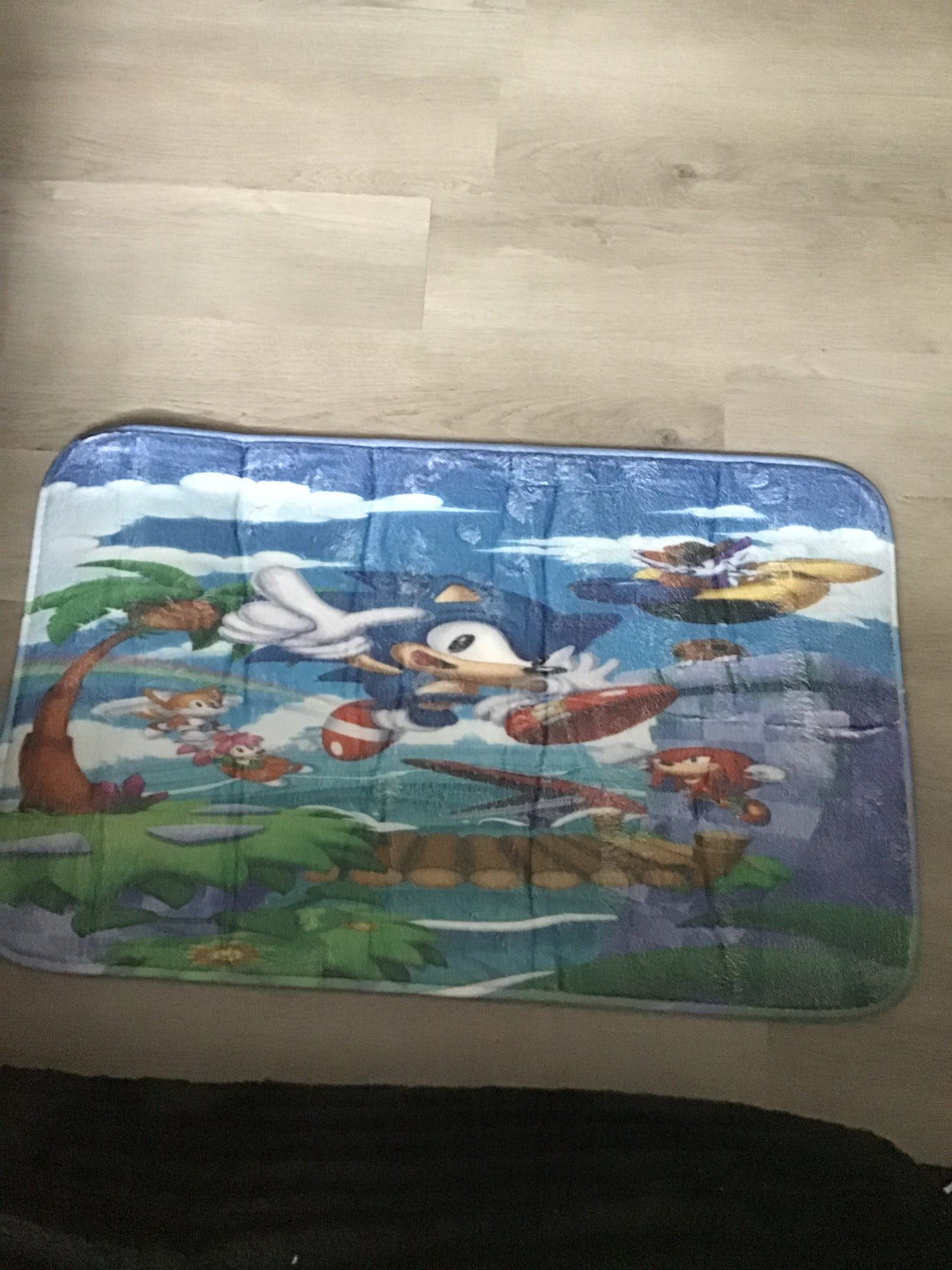 Floor mat with slip resistant back