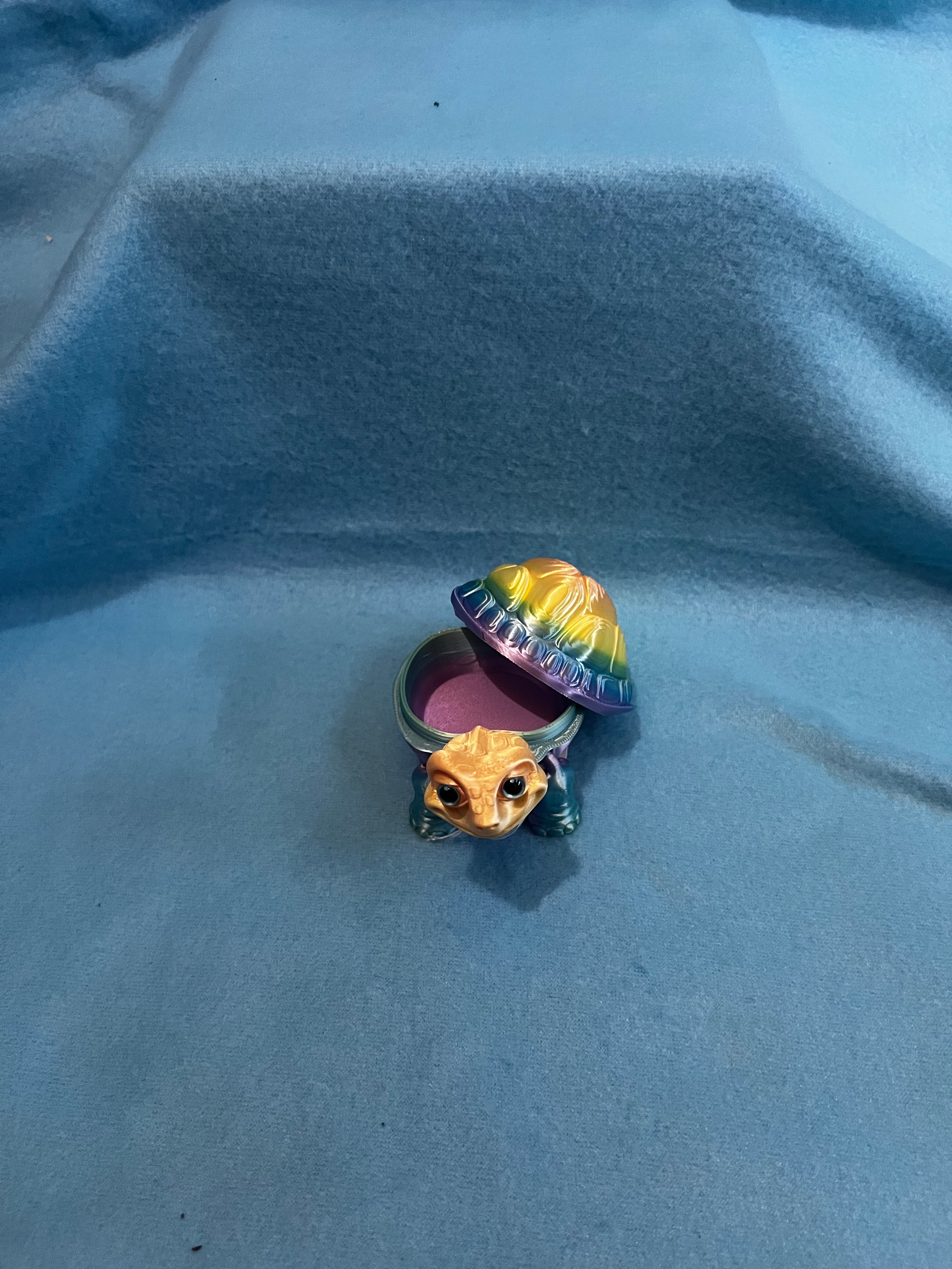 3d Printed Rainbow Turtle Storage Container