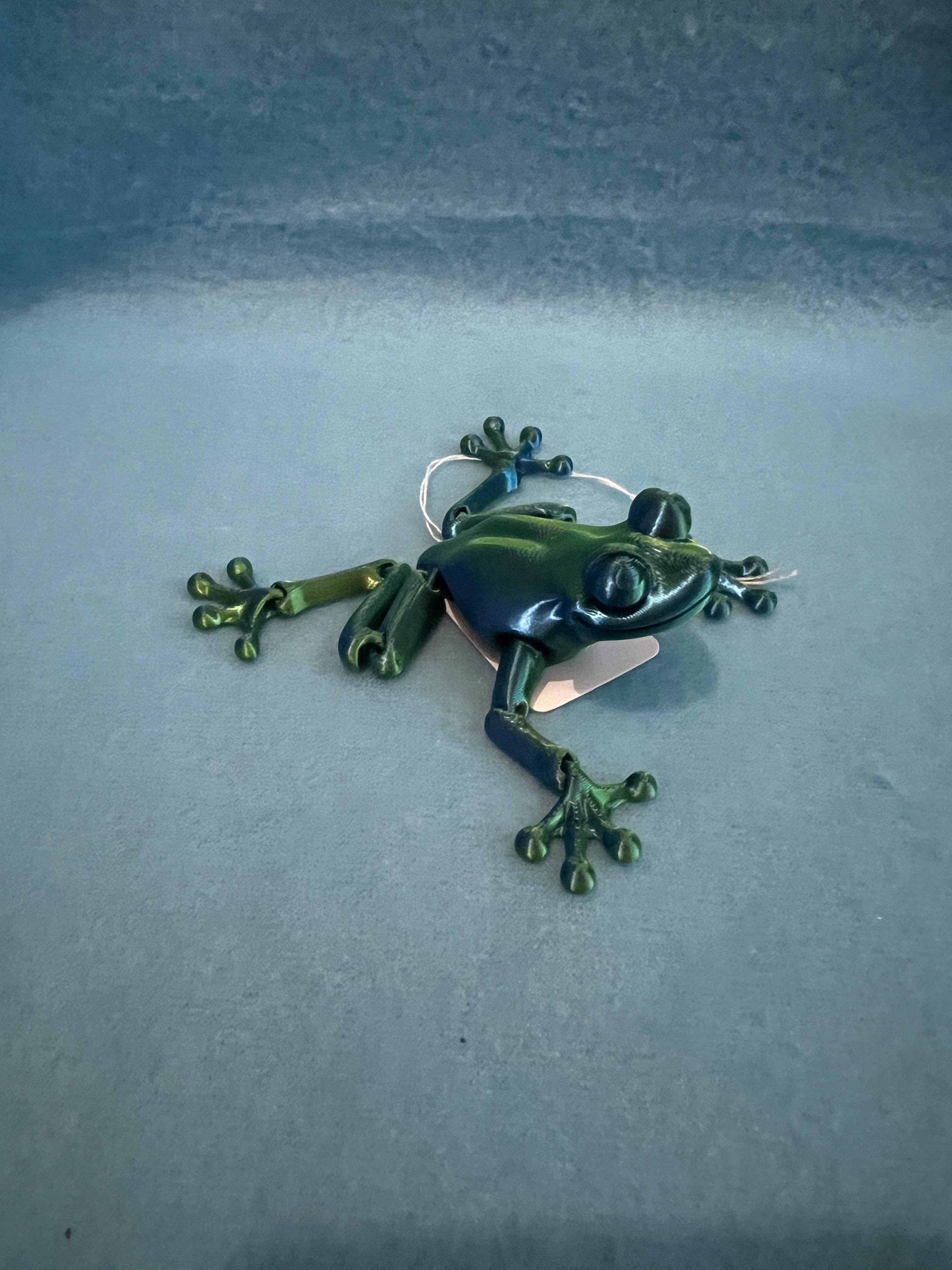 3d Printed articulated Frog