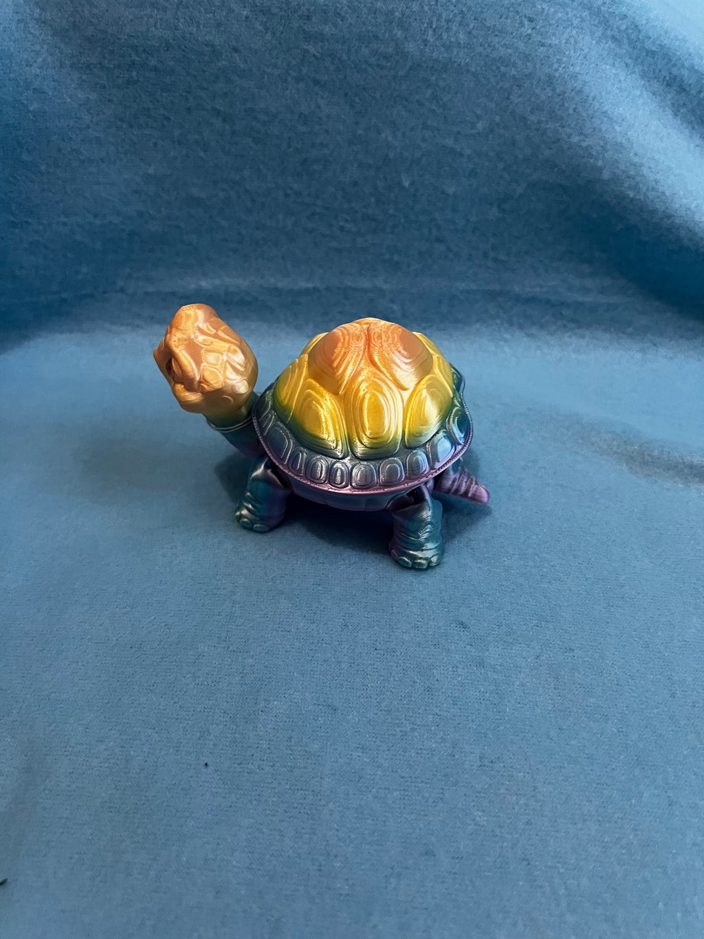 3d Printed Rainbow Turtle Storage Container